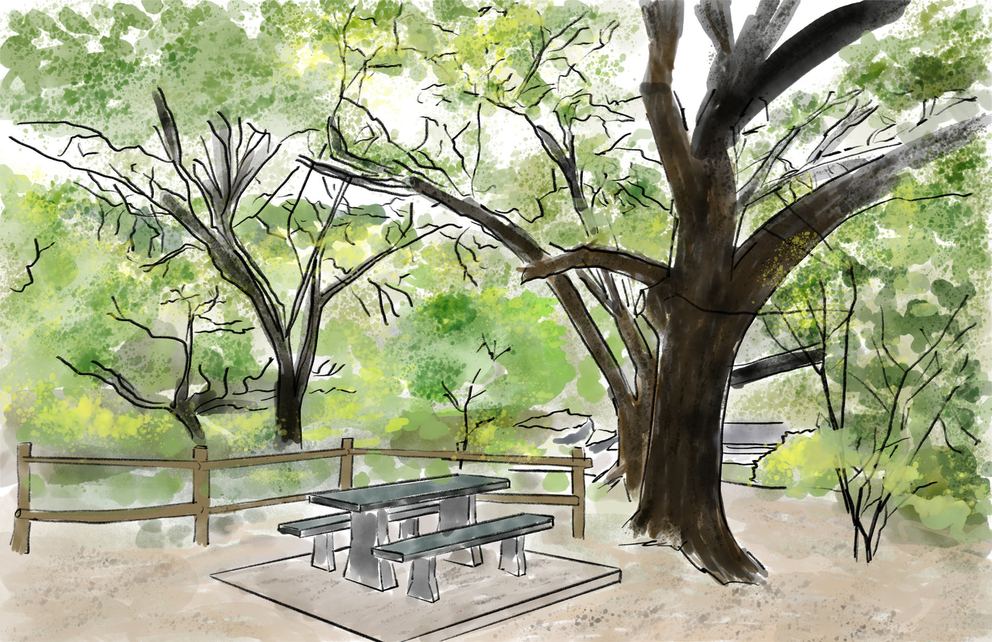 Songwriting Table at Bull Creek Park, Austin, Texas