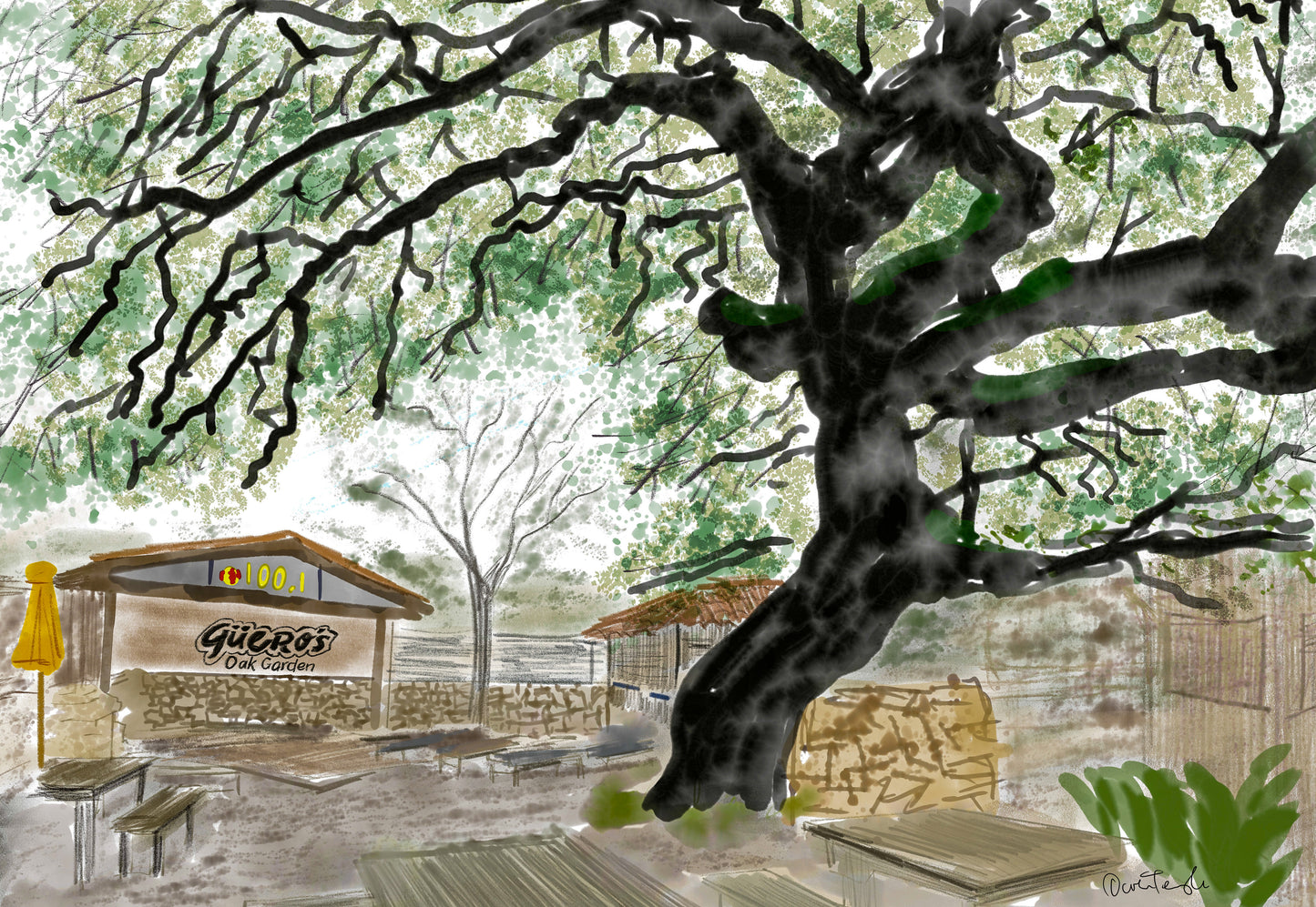 Guero's Oak Garden, Austin, Texas