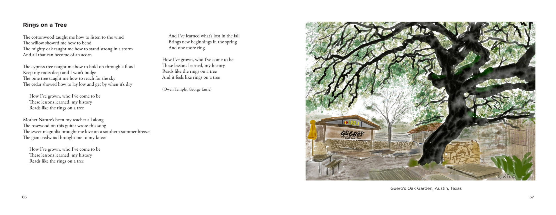 Watch It Shine interior spread — Rings on a Tree lyrics facing the watercolor Guero's Oak Garden, Austin, Texas