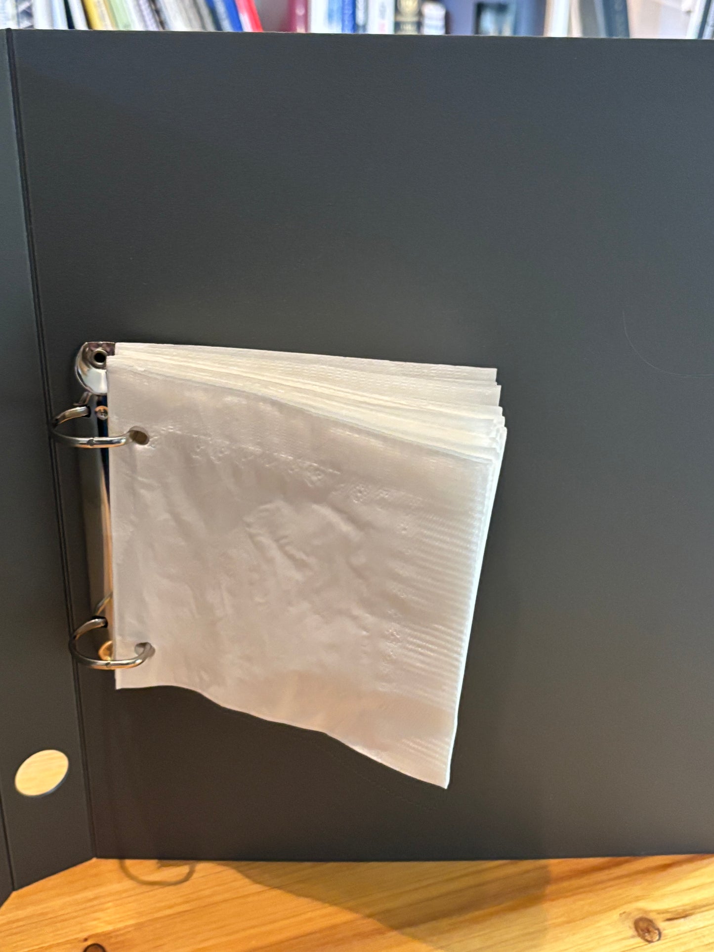 The Songwriter's Notebook