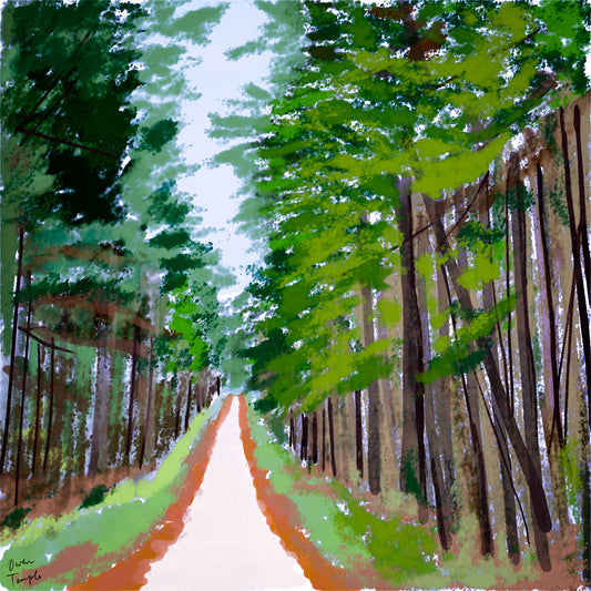 Piney Woods Road, East Texas