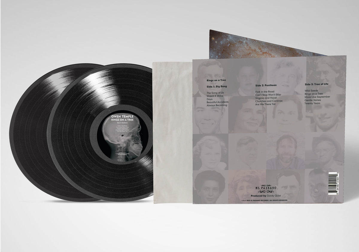 Rings on a Tree — back of the gatefold jacket with the records showing the Side 2: Pantheon label: the three side-by-side track lists (Big Bang, Pantheon, Tree of Life) over the grid of family portraits, and “Produced by Gordy Quist”